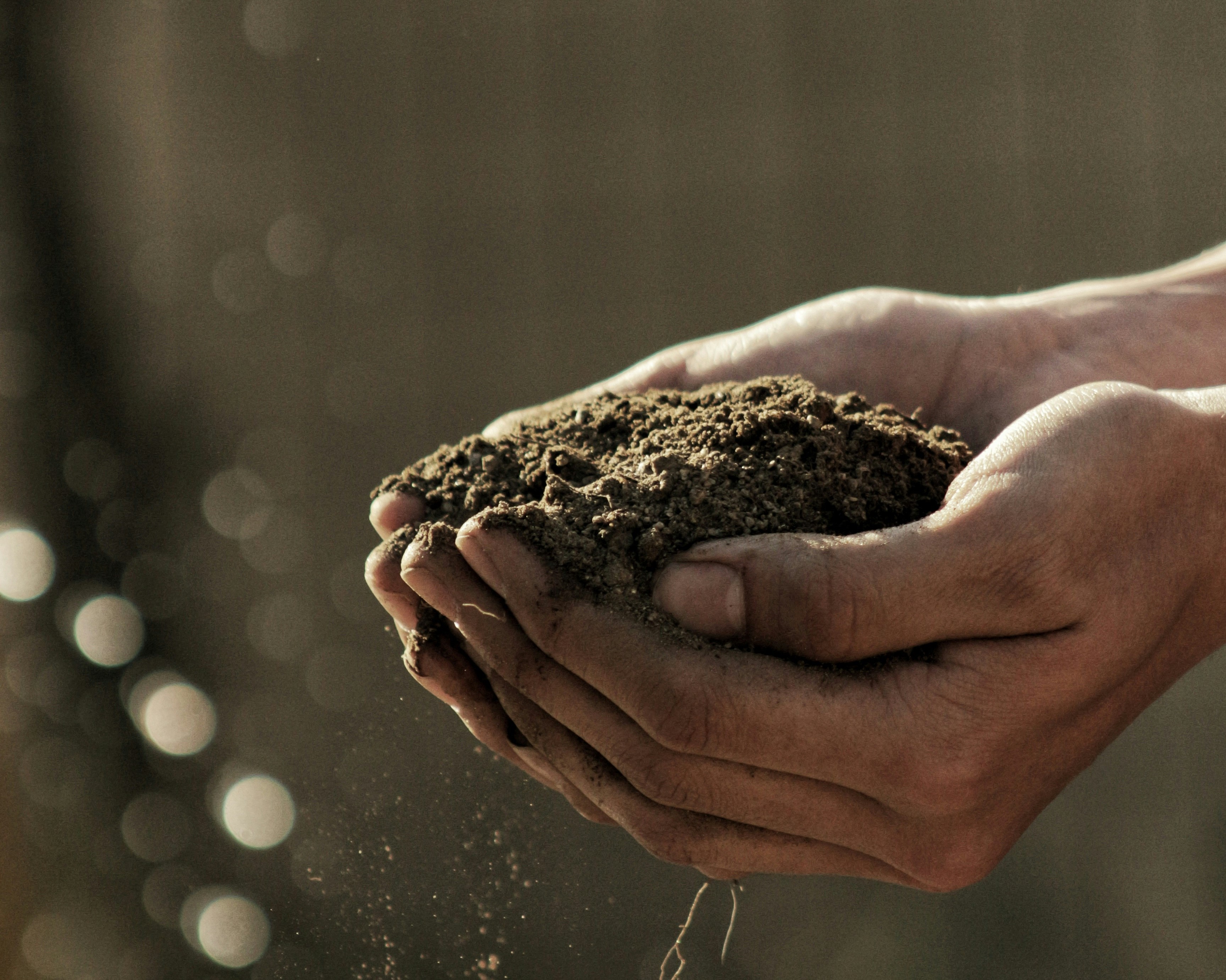 ASAP Soil Analysis